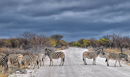 Tour a SCENIC NAMIBIA 2026 en español | Tours a Centroamerica