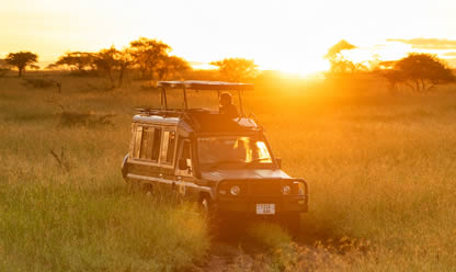 Tour a BELLEZAS DE KENIA Y TANZANIA 2024 en español | Tours a Centroamerica