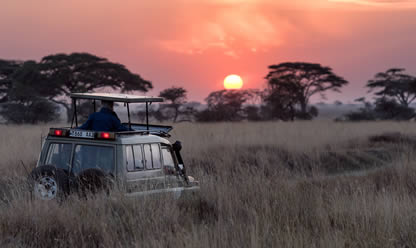 Tour a SAFARI SHIKAMOO 2026 en español | Tours a Centroamerica