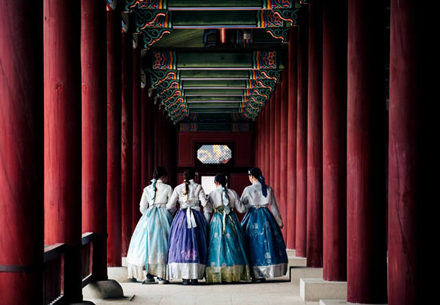 Foto del viaje a corea en Español 2024-2025