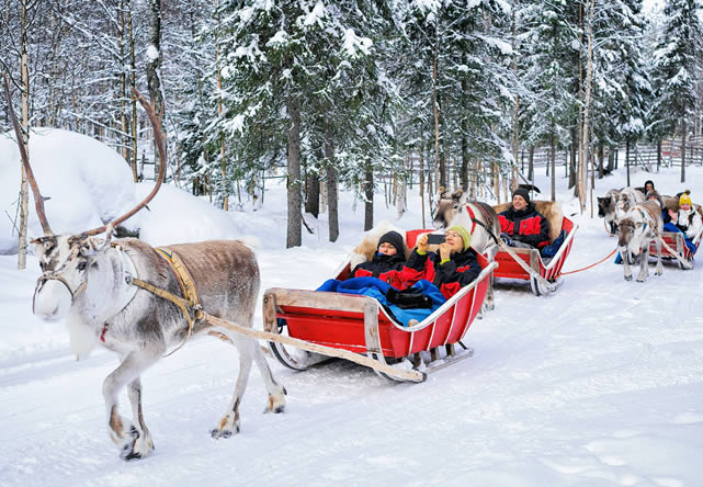 Foto del viaje a finlandia en Español 2024-2025