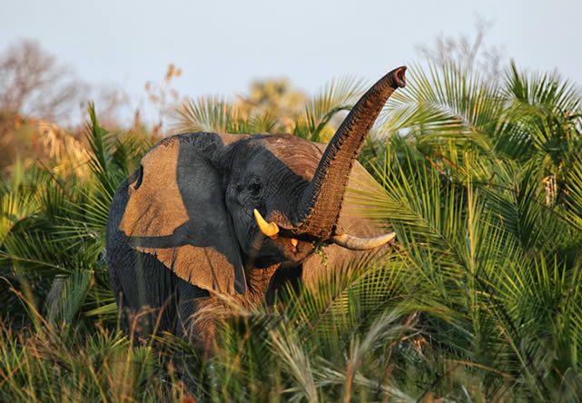 foto del tout a kenia  en español 2024-2025