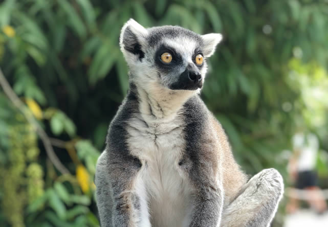 foto del tour a madagascar en español 2024-2025